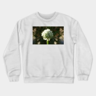 White Onion Flower by Avril Thomas Crewneck Sweatshirt